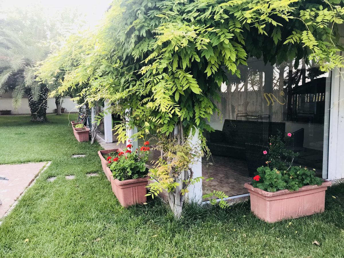 卢切拉 Masseria Nel Sole酒店 外观 照片
