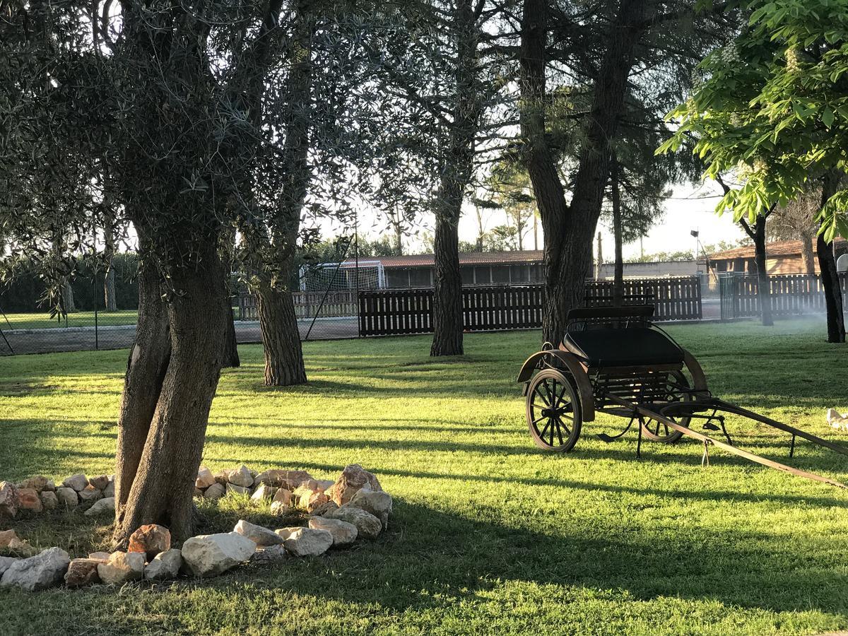 卢切拉 Masseria Nel Sole酒店 外观 照片