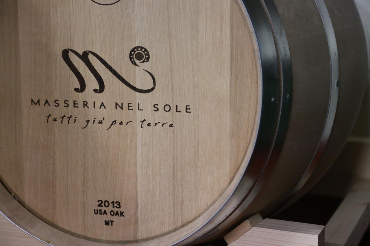 卢切拉 Masseria Nel Sole酒店 外观 照片